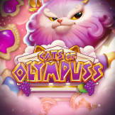 Λογότυπο Cats of Olympuss
