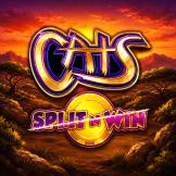 Λογότυπο Cats Split n Win