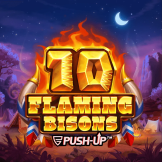 Λογότυπο 10 Flaming Bisons