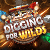 Λογότυπο Digging for Wilds