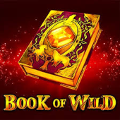 Λογότυπο Book of Wild