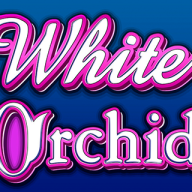 Λογότυπο White Orchid