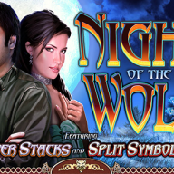 Λογότυπο Night of the Wolf