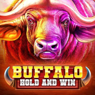 Λογότυπο Buffalo Hold and Win