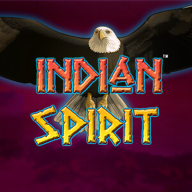 Λογότυπο Indian Spirit