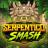 Λογότυπο Serpentico Smash