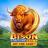Λογότυπο Bison Fortune Coins