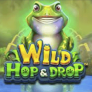 Λογότυπο Wild Hop and Drop