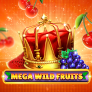 Λογότυπο Mega Wild Fruits