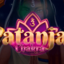 Λογότυπο Patanjali Chakra