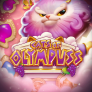 Λογότυπο Cats of Olympuss