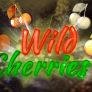 Λογότυπο Wild Cherries