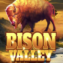 Λογότυπο Bison Valley