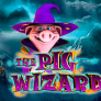 Λογότυπο The Pig Wizard