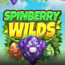 Λογότυπο Spinberry Wilds