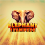 Λογότυπο Elephant Stampede