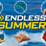 Λογότυπο Endless Summer
