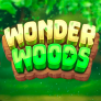 Λογότυπο Wonder Woods