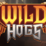 Λογότυπο Wild Hogs