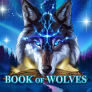 Λογότυπο Book Of Wolves