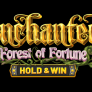 Λογότυπο Enchanted: Forest of Fortune