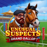 Λογότυπο Unusual Suspects Grand Gallop