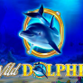 Λογότυπο Wild Dolphin