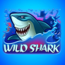 Λογότυπο Wild Shark