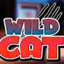 Λογότυπο Wild Cat