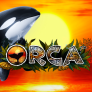 Λογότυπο Orca