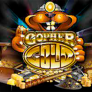 Λογότυπο Gopher Gold