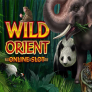 Λογότυπο Wild Orient