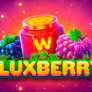 Λογότυπο Fluxberry
