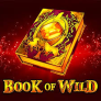Λογότυπο Book of Wild