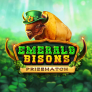 Λογότυπο Emerald Bisons PrizeMatch