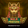 Λογότυπο Nile Fortune