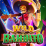Λογότυπο Wild Bandito