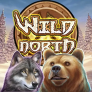 Λογότυπο Wild North