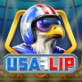 Λογότυπο USA Flip