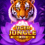Λογότυπο Tiger Jungle Hold and Win