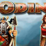 Λογότυπο Odin