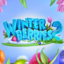 Λογότυπο Winterberries 2