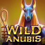 Λογότυπο Wild Anubis