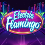 Λογότυπο Electric Flamingo