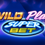 Λογότυπο Wild Play