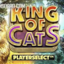 Λογότυπο King of Cats