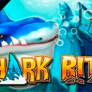 Λογότυπο Shark Bite