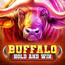 Λογότυπο Buffalo Hold and Win