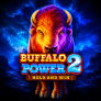 Λογότυπο Buffalo Power 2 Hold and Win
