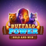 Λογότυπο Buffalo Power Hold and Win